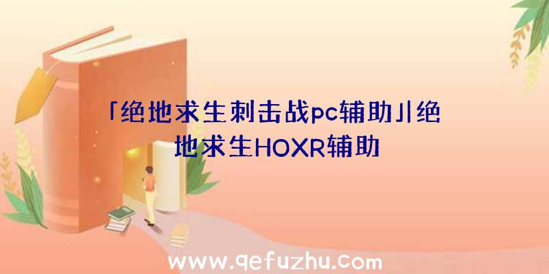 「绝地求生刺击战pc辅助」|绝地求生HOXR辅助